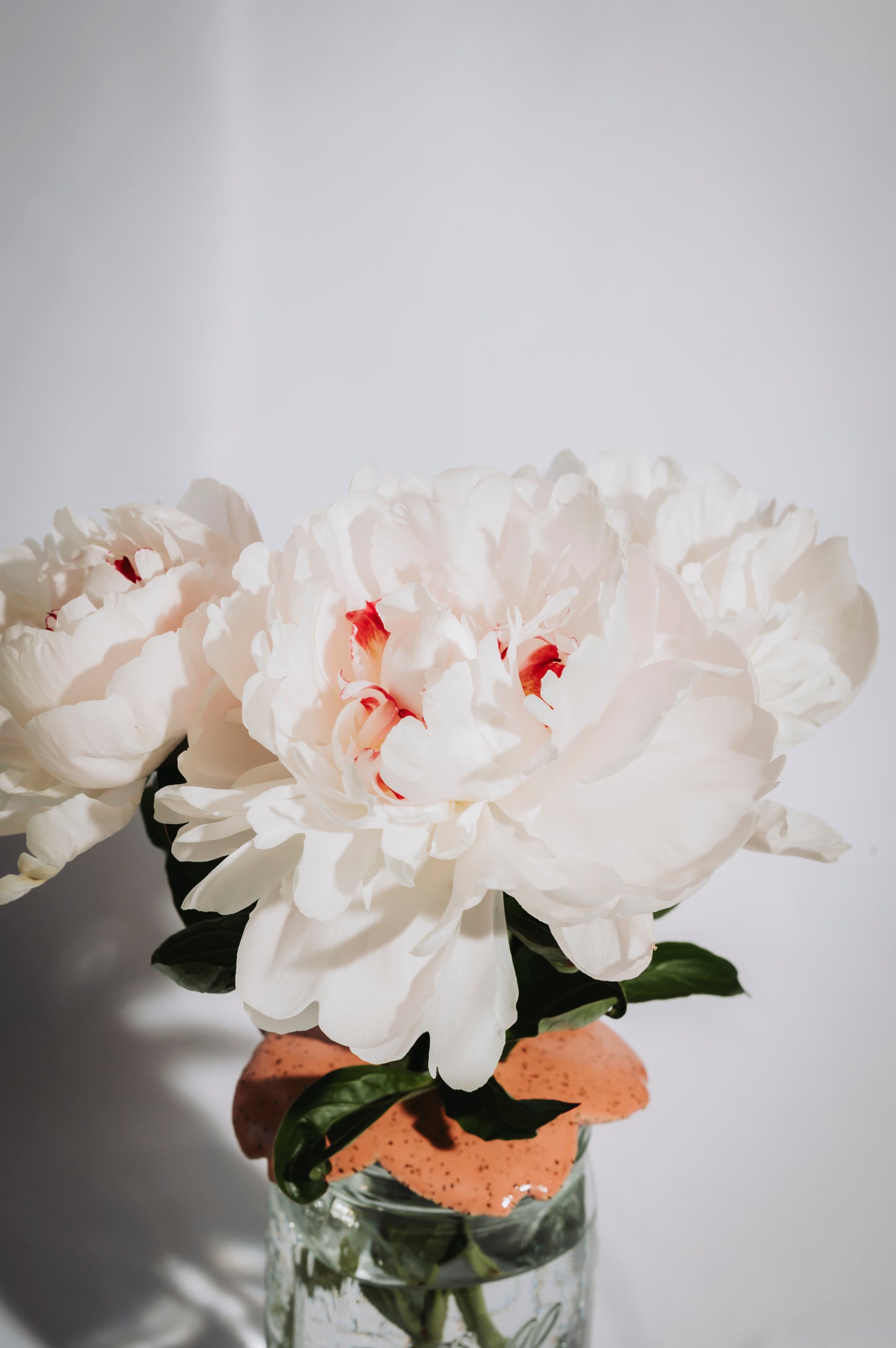 Mason Jar Flower Frog