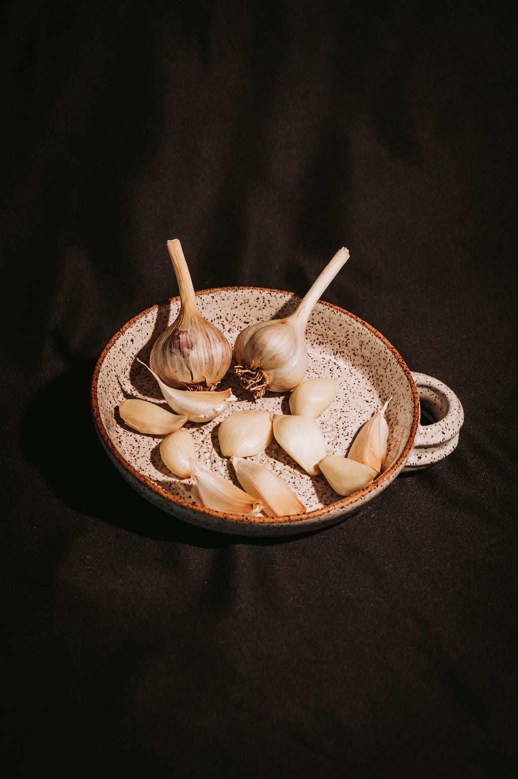 Garlic bulbs on a ceramic garlic grater plate with a dark background