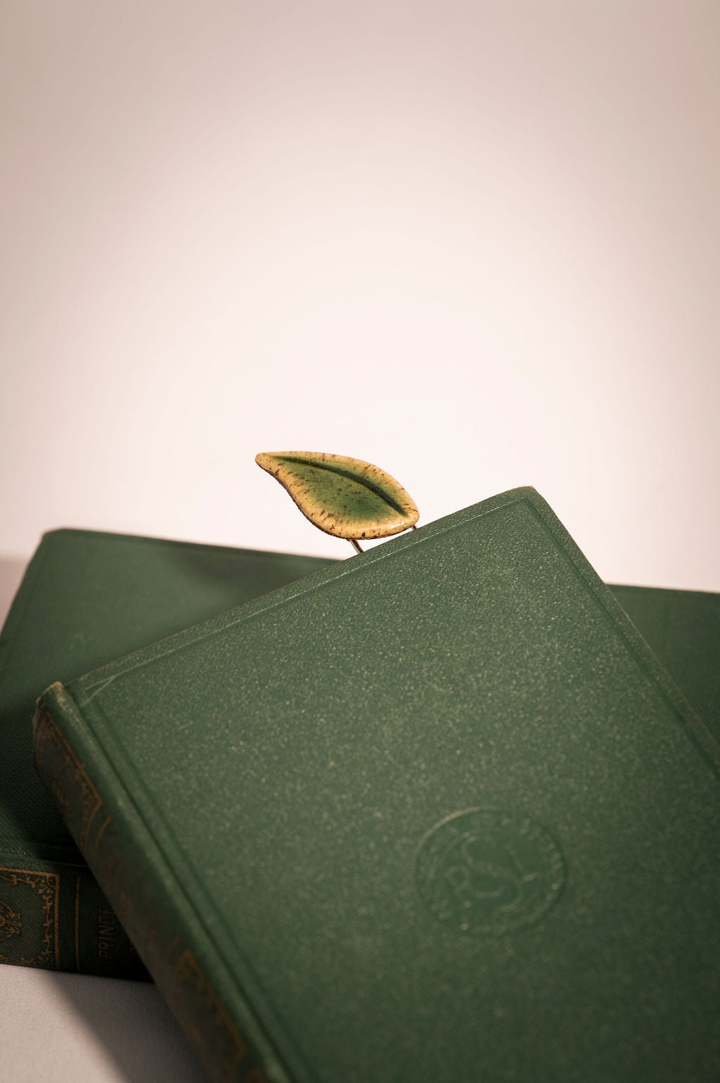 Green leather-bound book with a leaf-shaped bookmark on a light background